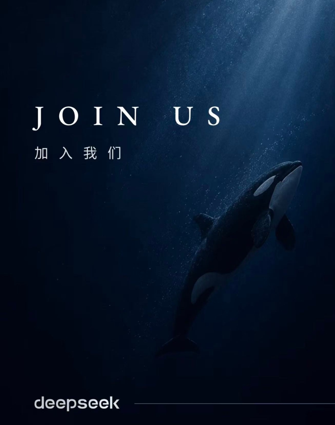 真的没想到变化这么快，但又是意料之中的事！DeepSeek为何大规模招人Deep