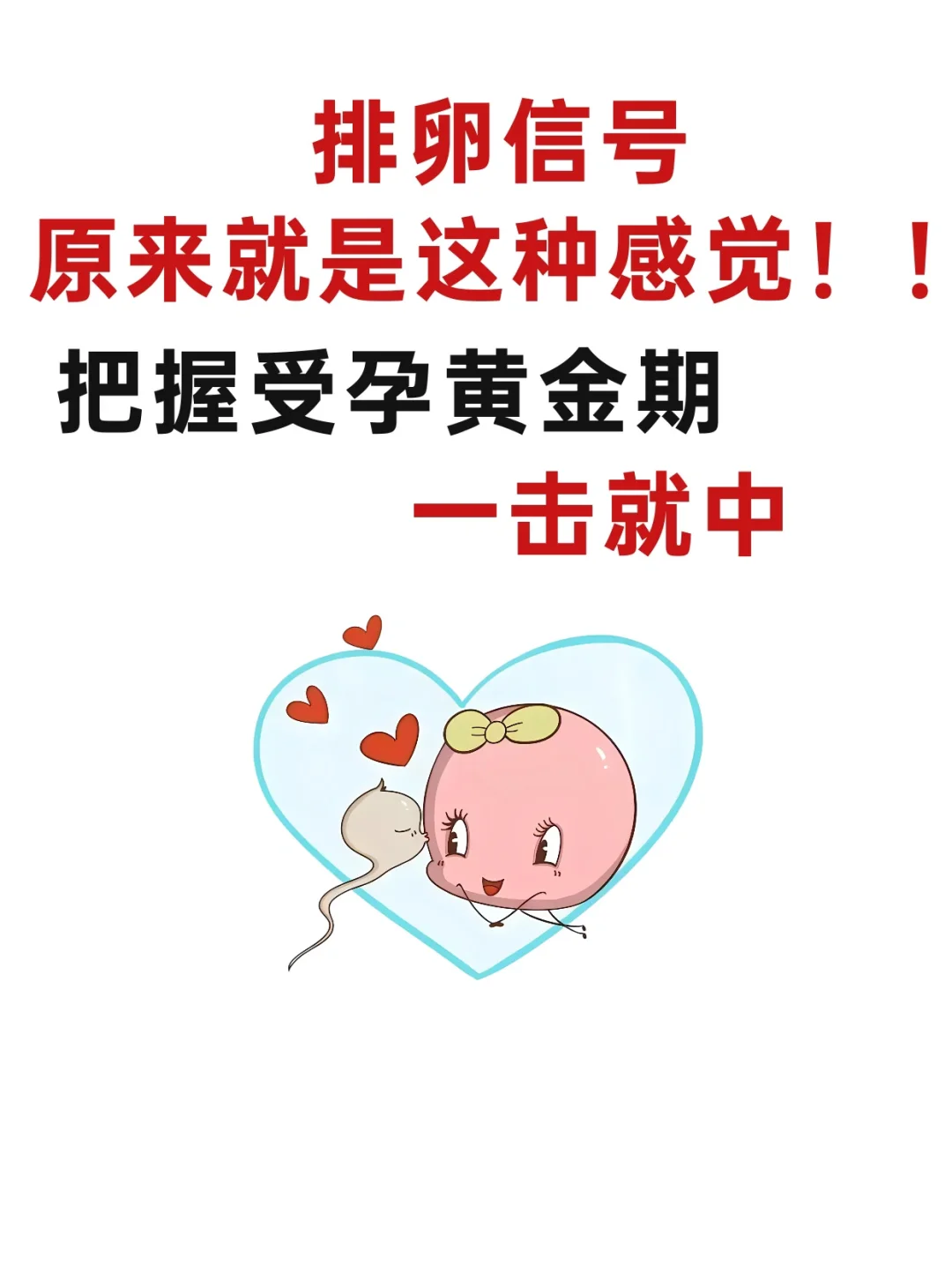 原来这就是排卵信号📶备孕姐妹必看‼️