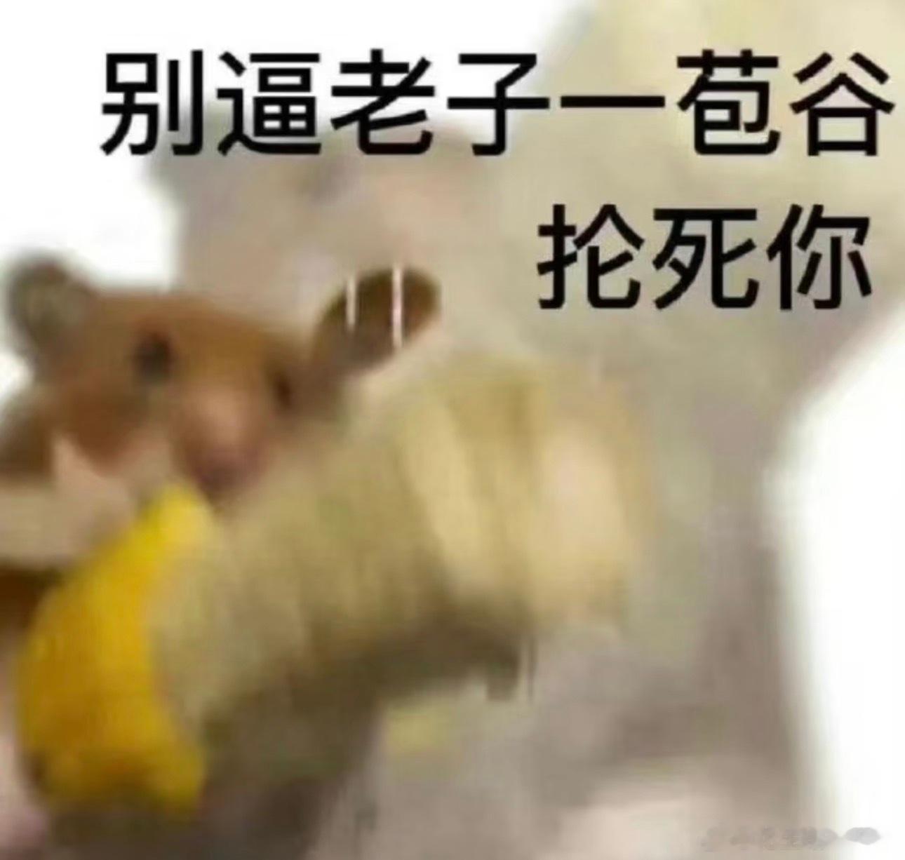 我们是礼仪之邦bangbangbangbangbang菲方人员用划桨长棍攻击我海