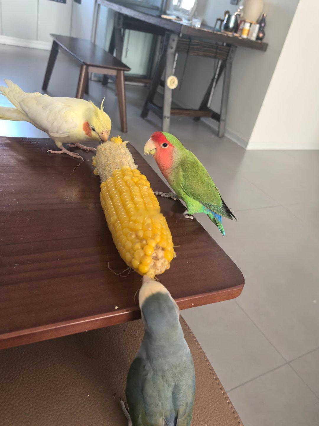 到底是谁吃早饭 ​​​