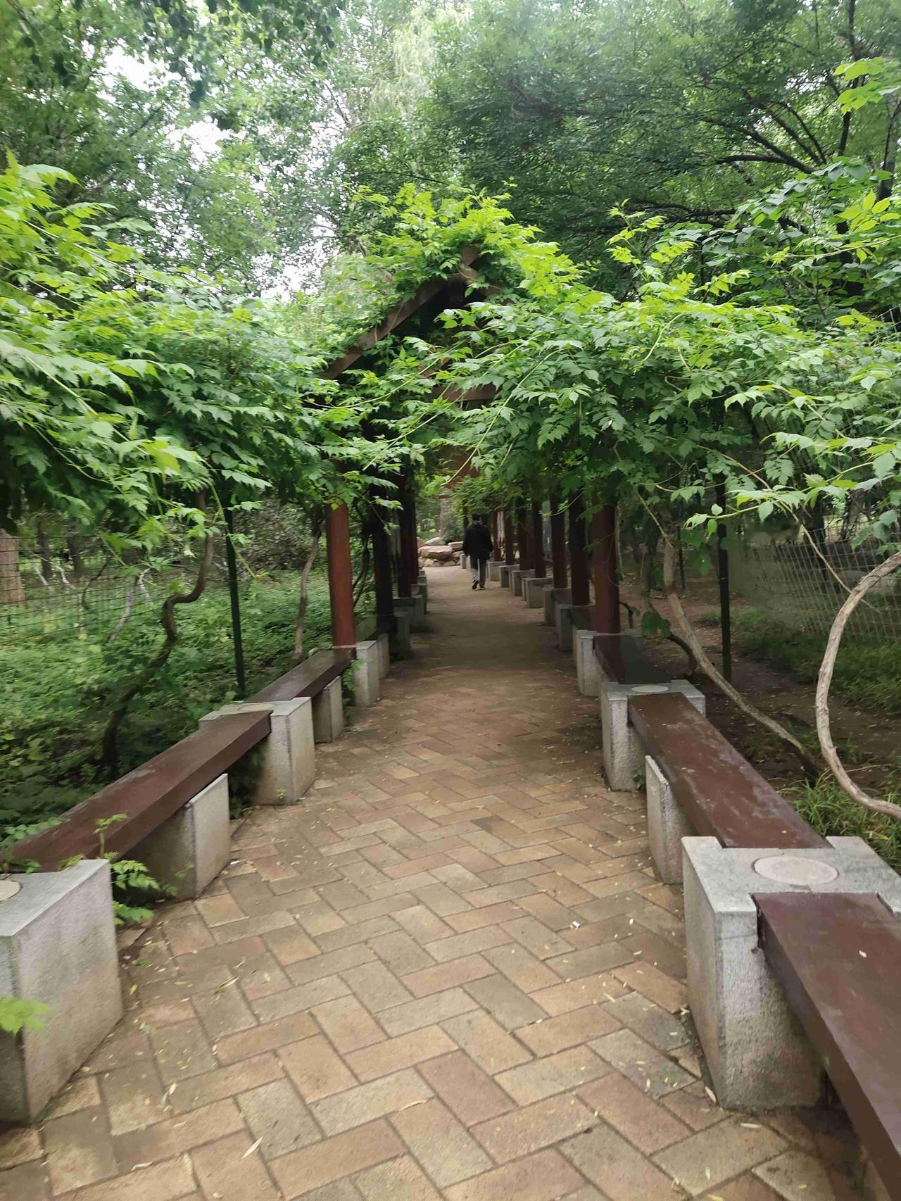 我的今日状态：😁轻松愉快
我这里的天气：🌧下雨