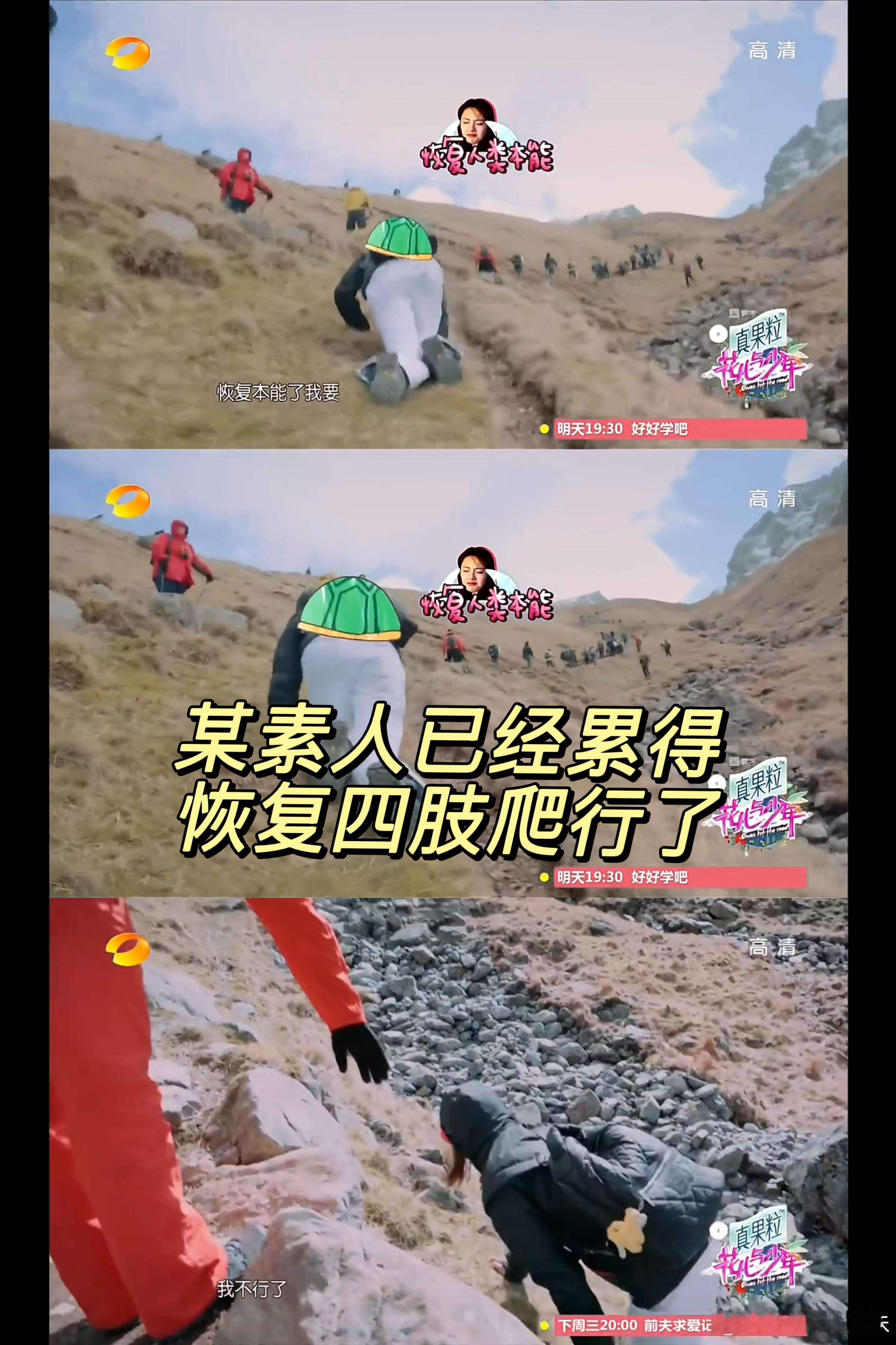 《花少2》第五集就像甄远道被流放到宁古塔《花少2》第五集就像甄远道一家被流放到宁