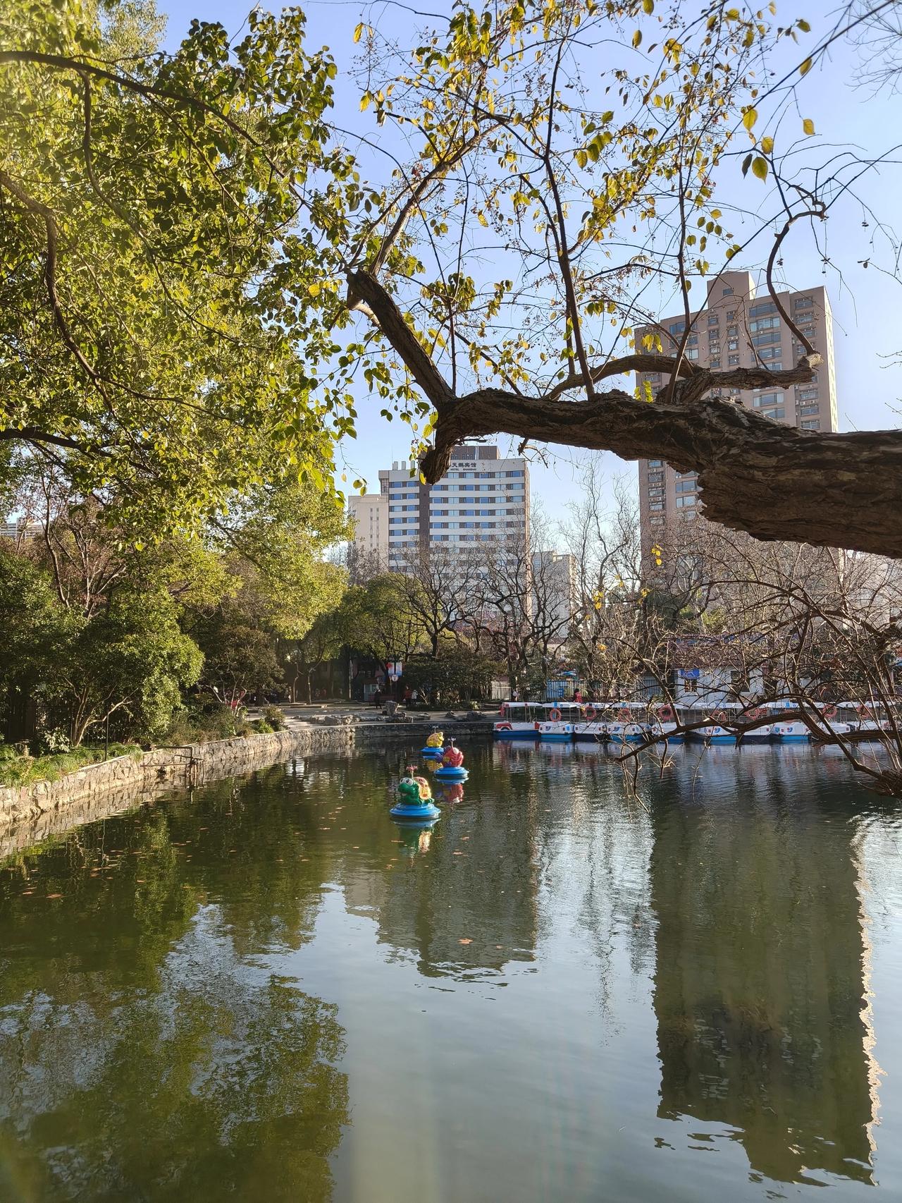 冬日公园散步随手拍实景图分享！

鲁迅公园走一圈随手拍分享！