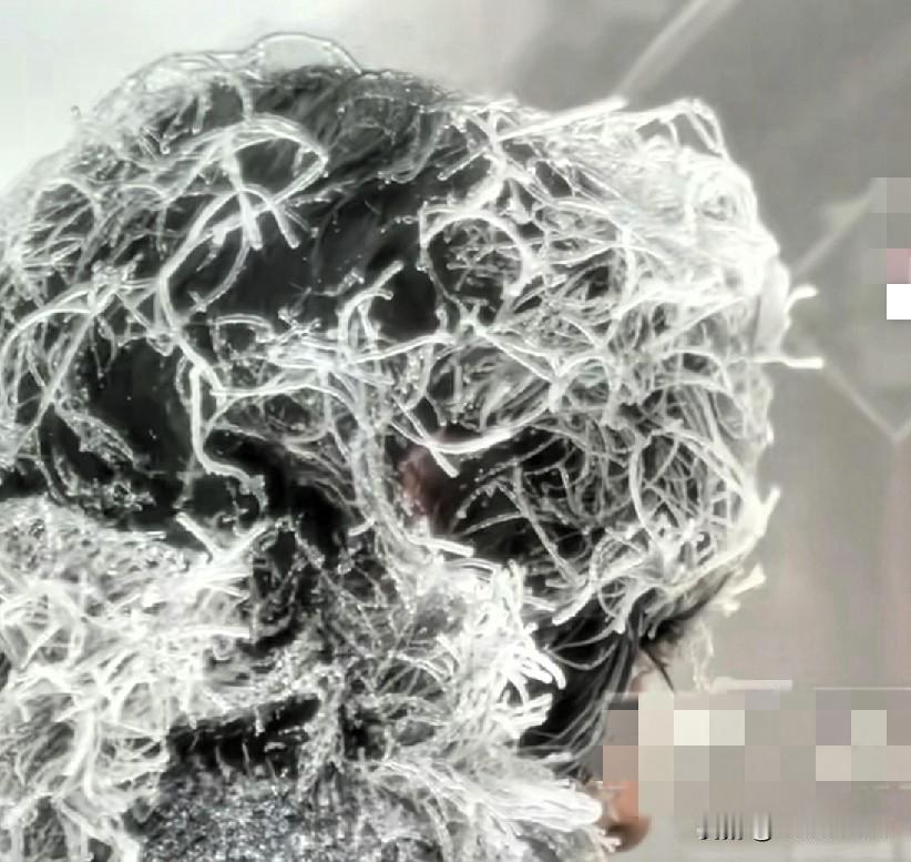 爬山冻成“白发魔男”！

 
一小伙冬天爬泰山，登顶后头发全结满了冰晶，根根直立