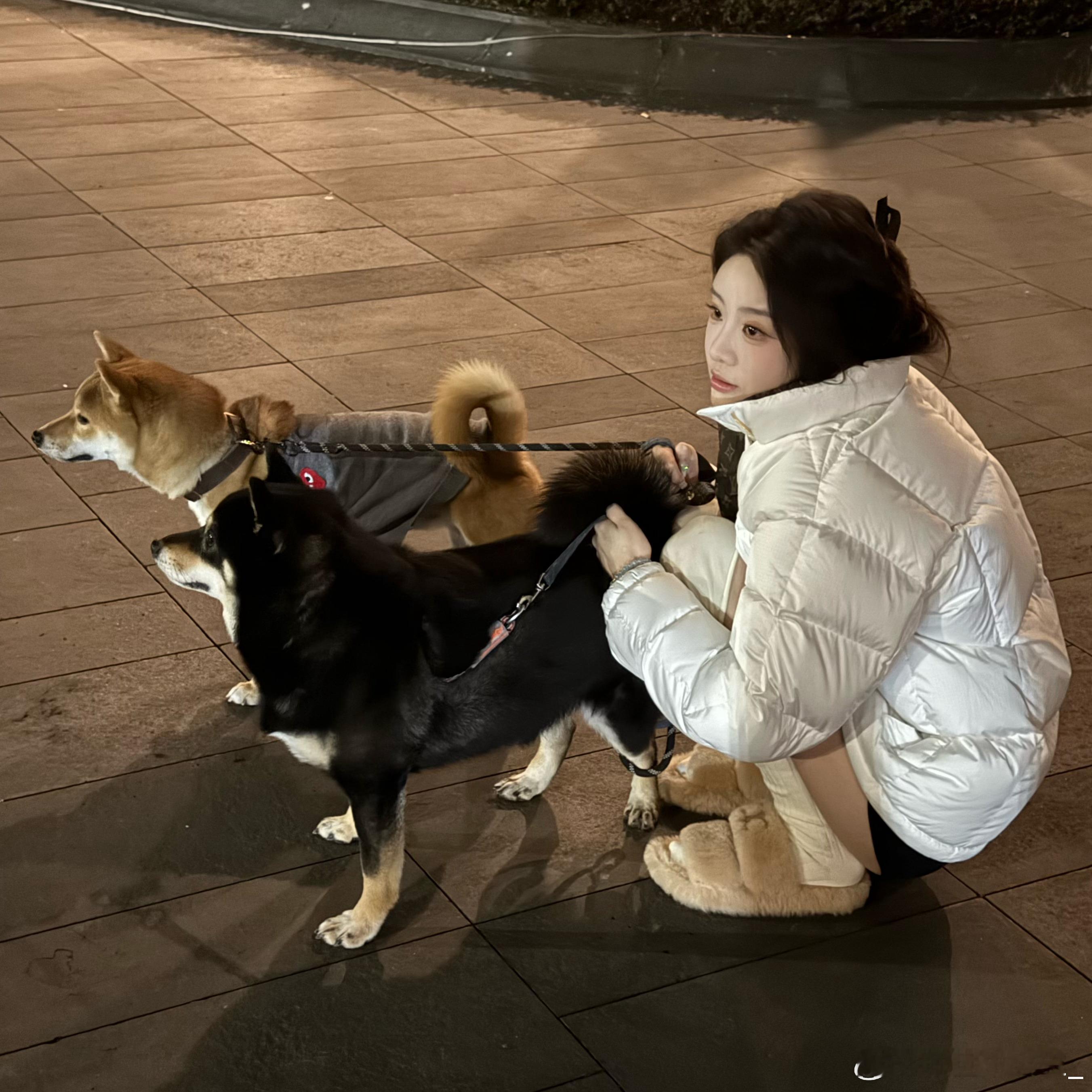 [doge] ​​​