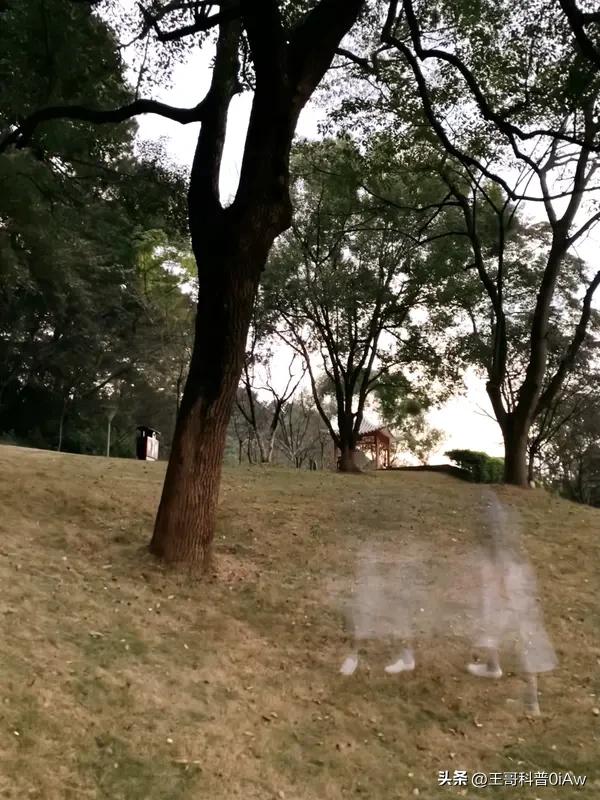 灵魂相认的人还要分开吗？这真是个扎心的问题。很多人觉得灵魂伴侣相遇就该一生相伴，