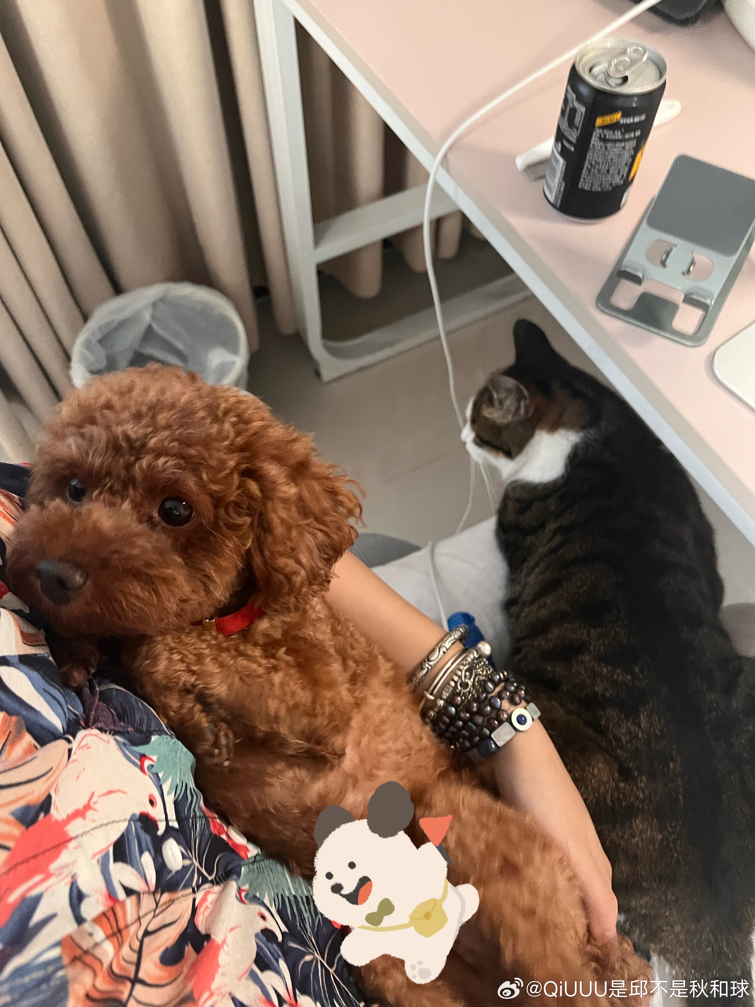 带妹妹从宠物医院回来，刚打开iPad开始画稿外面就开始打雷…好忙… 我仿佛一个五