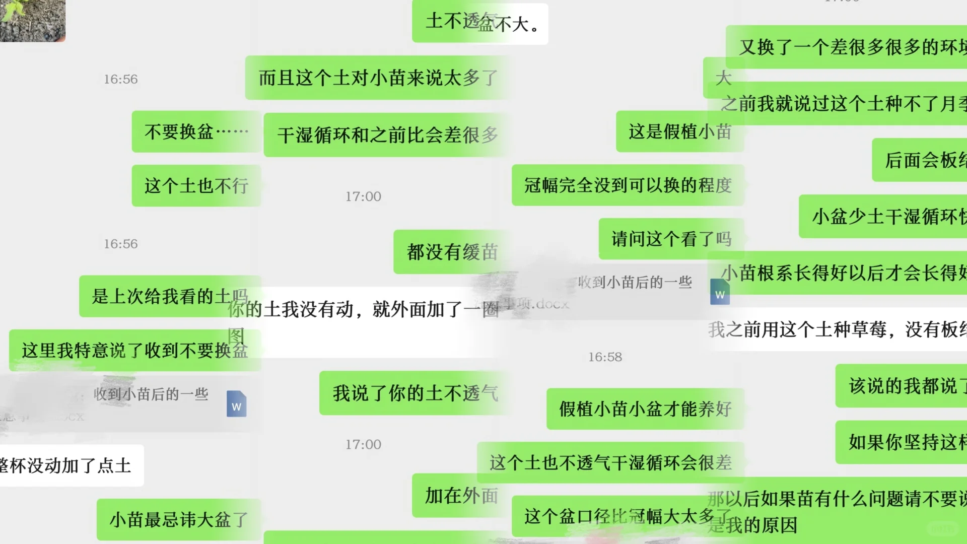 气到发抖……送了几十颗苗第一次遇到……
