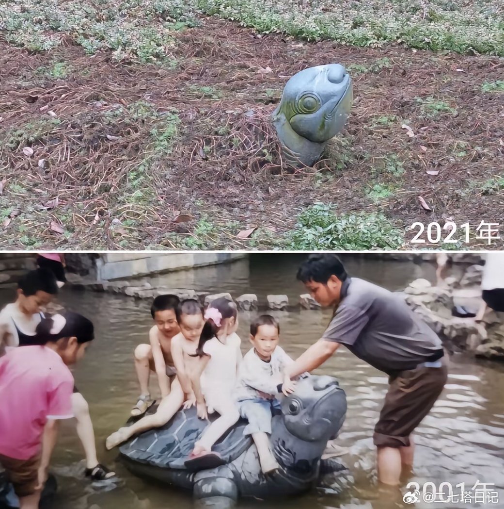 岁月是把杀猪刀 