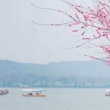 有一只小蜗牛，总是觉得自己背着重重的壳，走路太慢，永远追不上身边的小伙伴，它为此