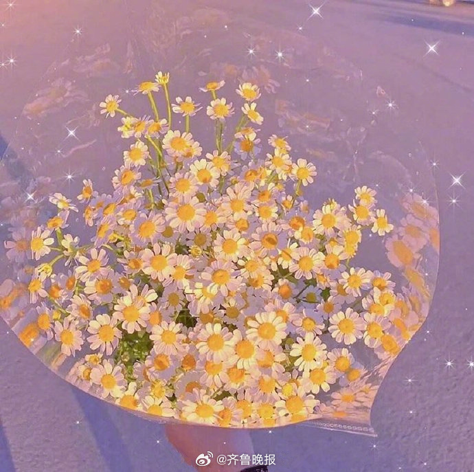 #早安# 往前走，你才会拥有新的生活和新的期待。 