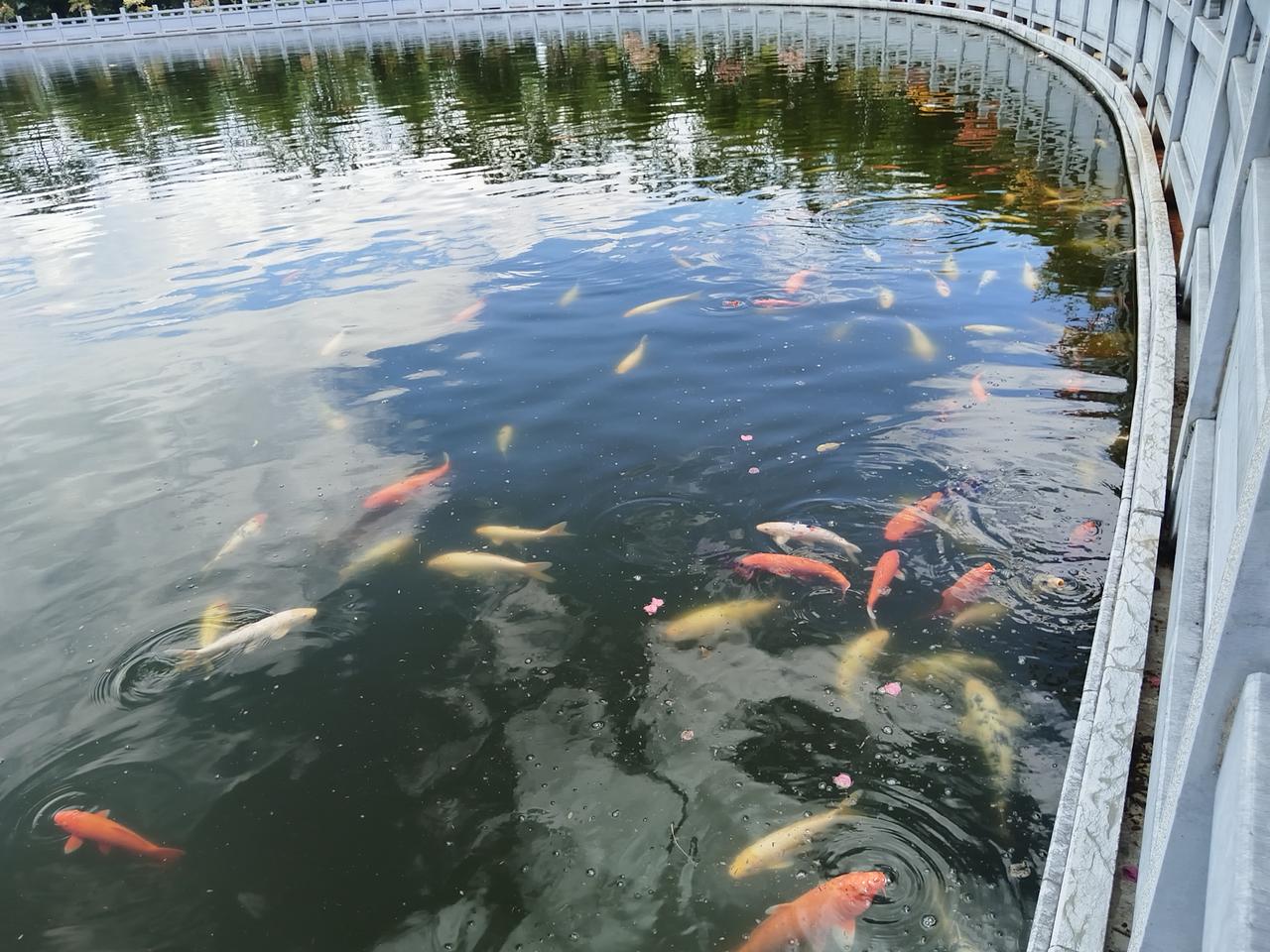 神奇的福眼天池