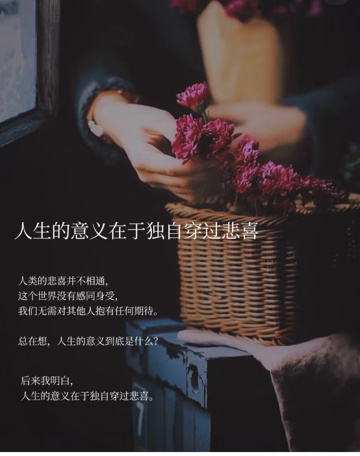 人生的意义在于独自穿过悲喜人类的悲喜并不相通，这个世界没有感同身受，我们无需对其