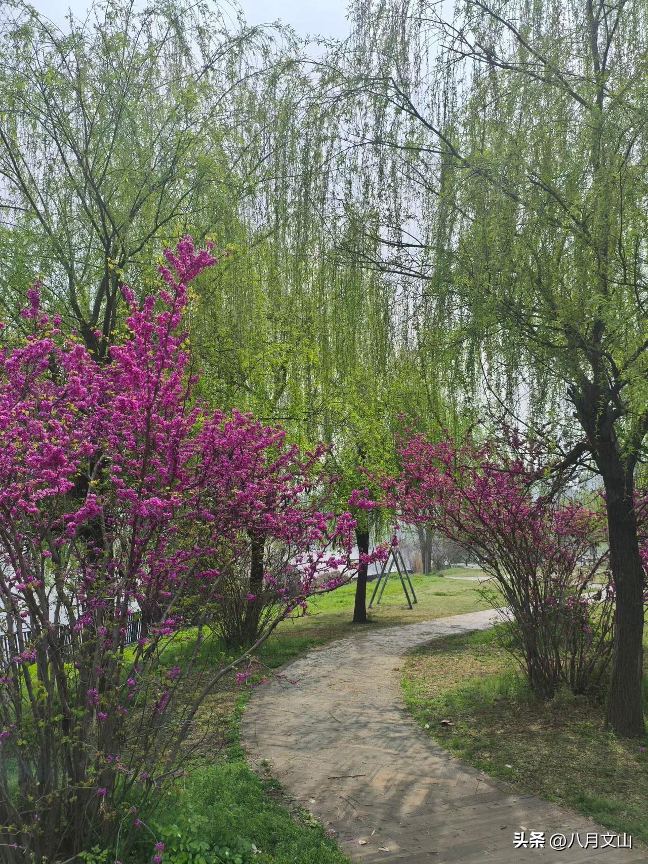 经常有人问，我一个普通人，没背景没人脉，到了四五十岁还能有出路吗？

其实，绝大