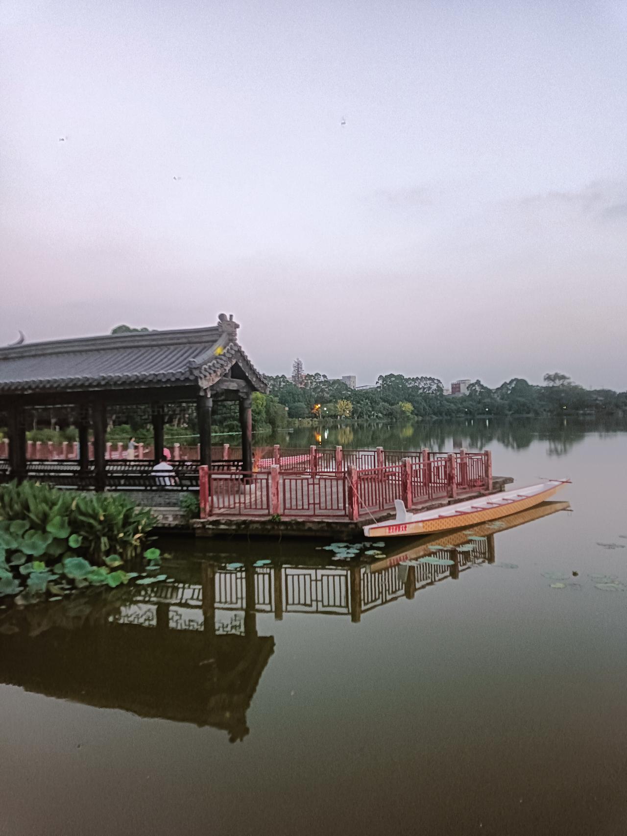 傍晚又到贵港市东湖公园散散步，往时这里还是训练龙舟的时段，现见多艘龙舟静静泊在码