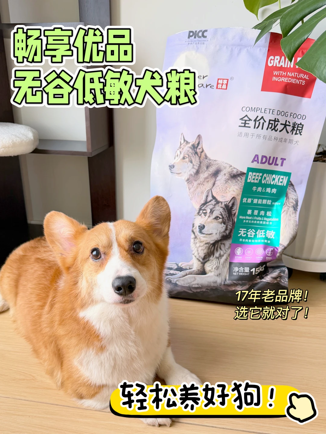 618囤狗粮｜我家柯基认准这袋！
