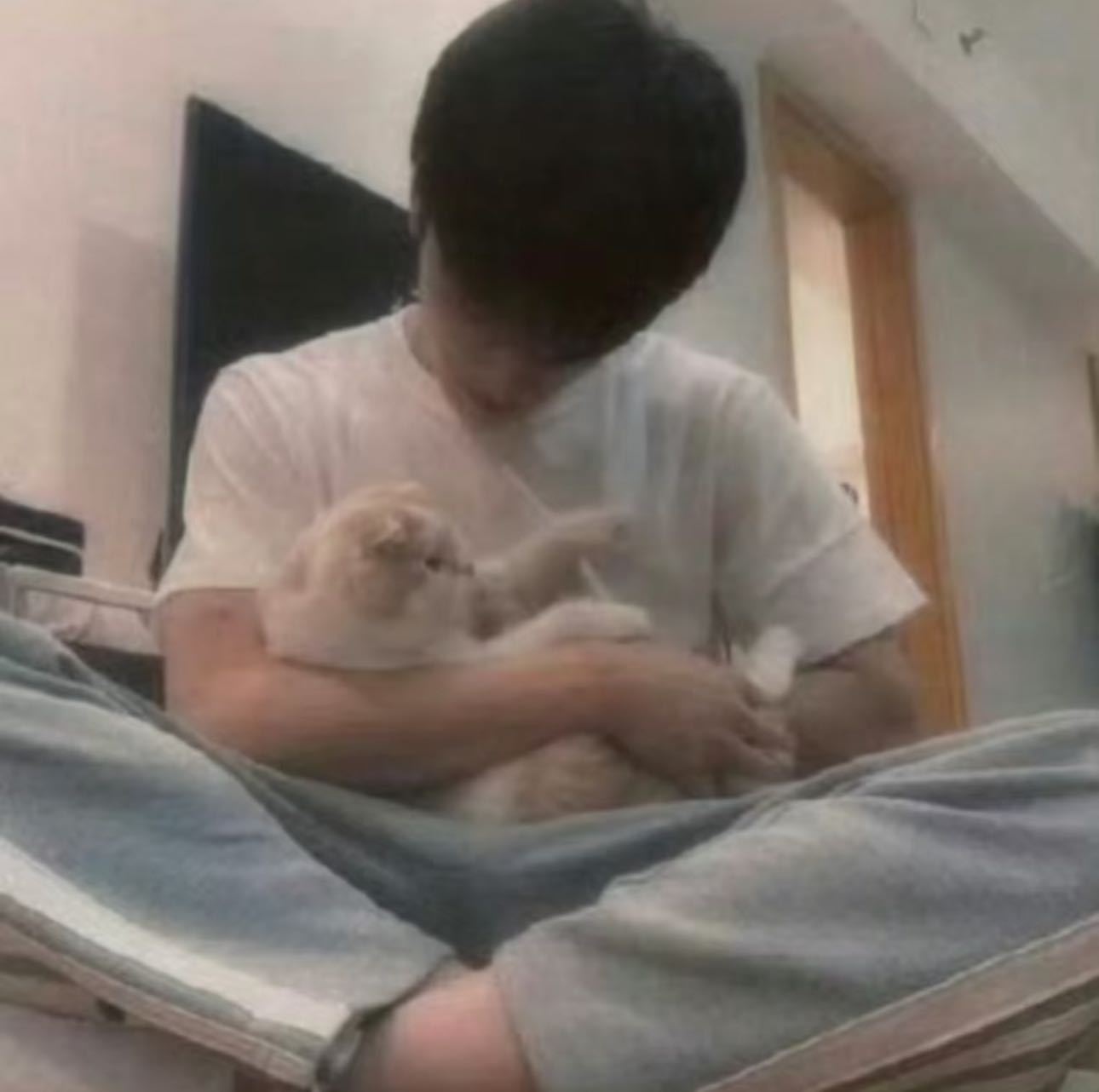 张康乐喂流浪猫 张康乐是猫猫大王吧！！国际猫咪日在微博晒出了自己家里的六只猫猫，
