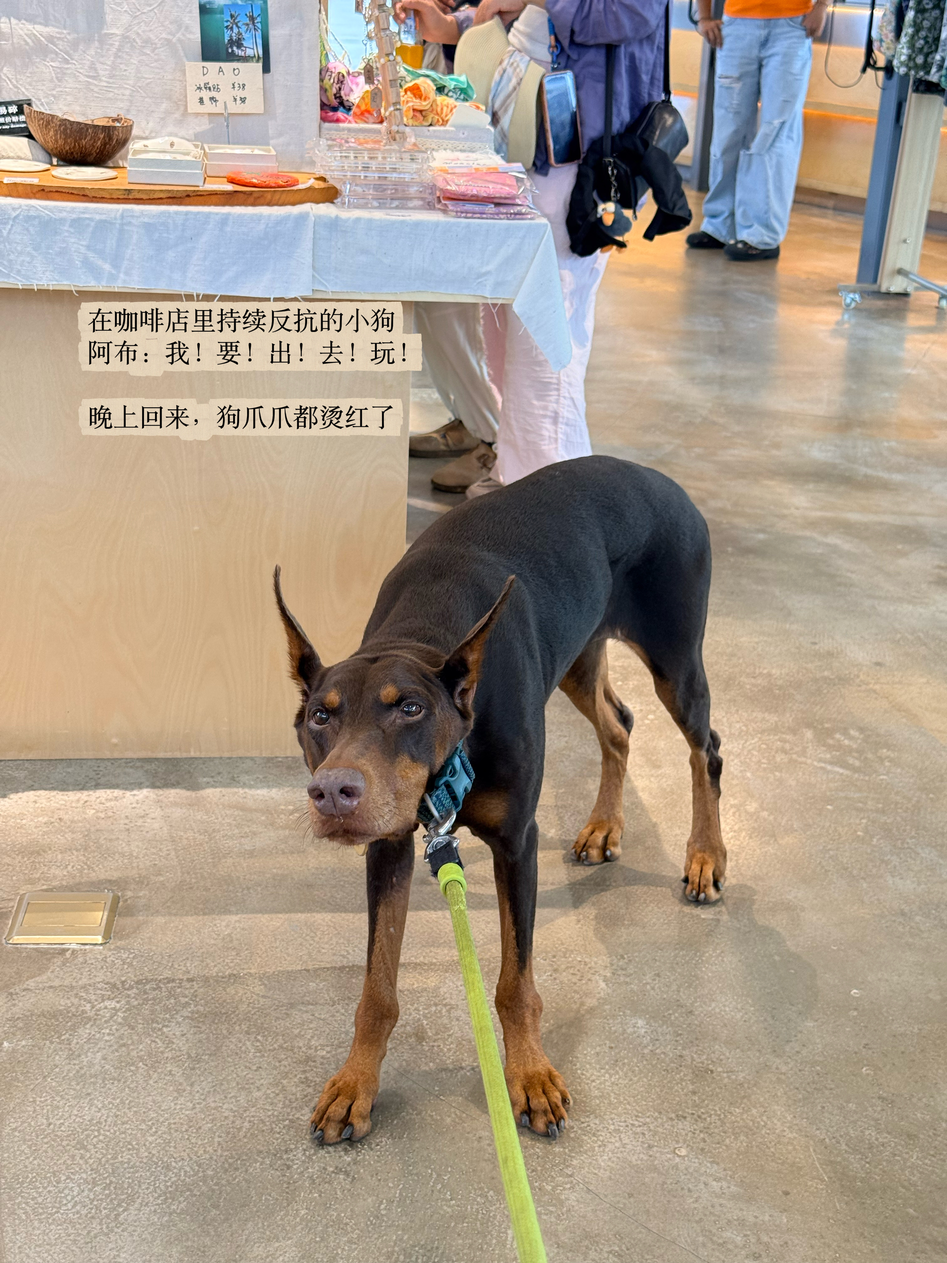 又练一天🌴新发现：在万宁和人社交最简单的方式，就是一起吐槽：这真的没啥可吃的啊