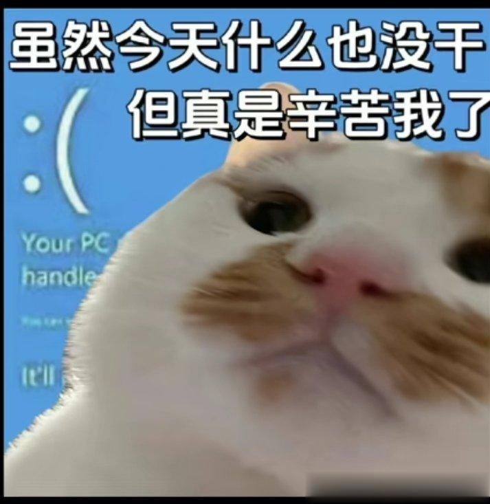 #每日萌宠打卡# ​​​