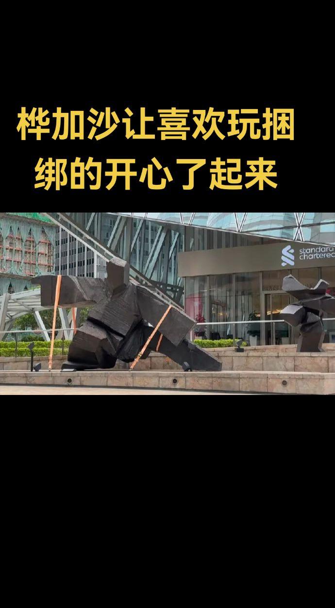 桦加沙让喜欢玩捆绑的开心了起来。