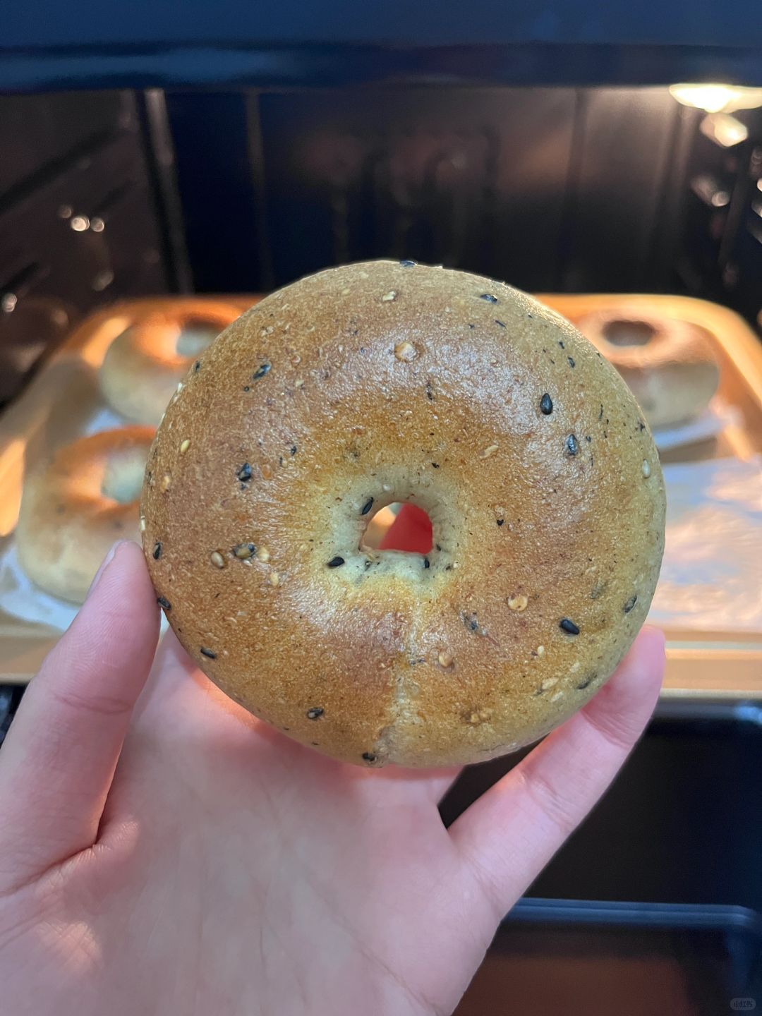 减脂期🉑️｜0糖0油粗粮贝果🥯
