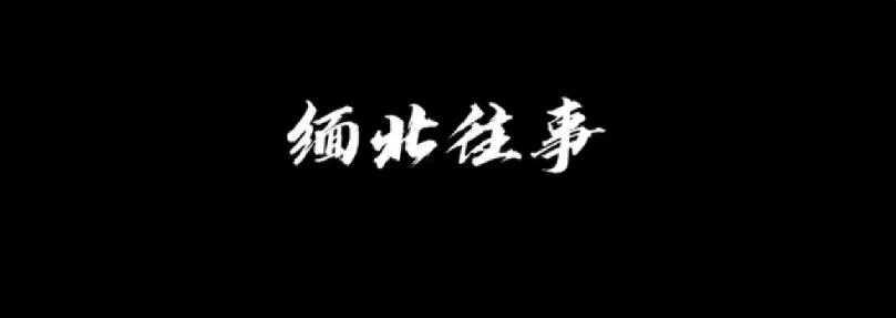 为什么还没看到缅甸高层的发声?为什么要和缅甸成为友好关系?
一个还停留在奴隶社会