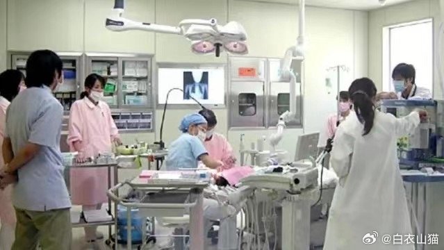 日本一少年全麻下智齿，却见腹部膨隆缺氧而死。疑因气管插管插入食道后再用呼吸机！今