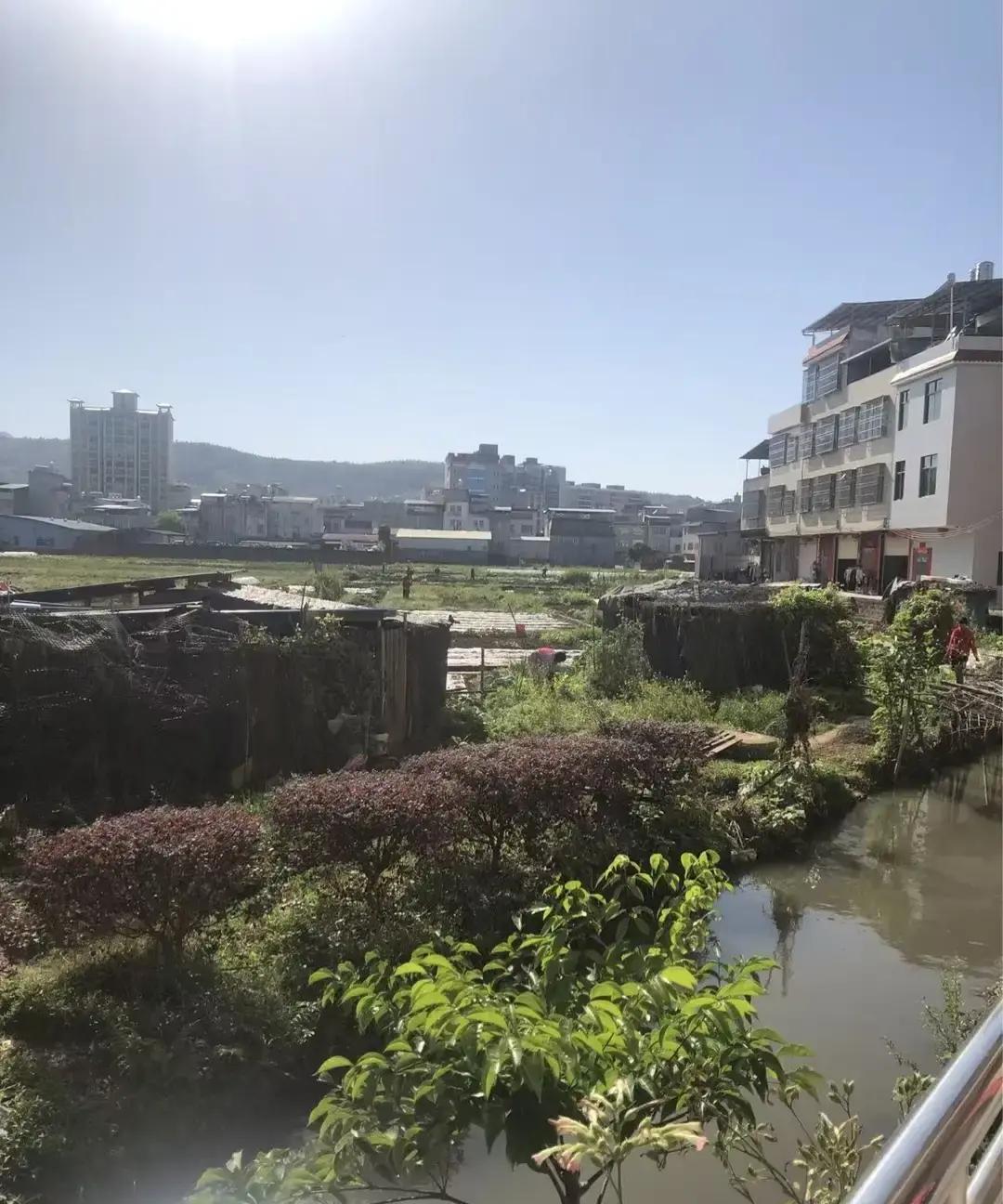 刷到一条“侄女纹身被男友甩脸”的短视频，点进去一看，女主撩起衣服露出一朵玫瑰，男