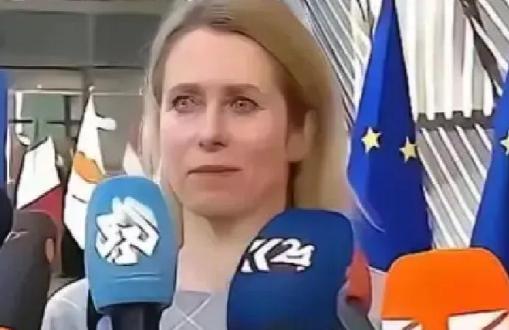 欧盟的官宣再次震惊了全世界：从今年开始，一切与中国有关的科研机构，都将没有资格参