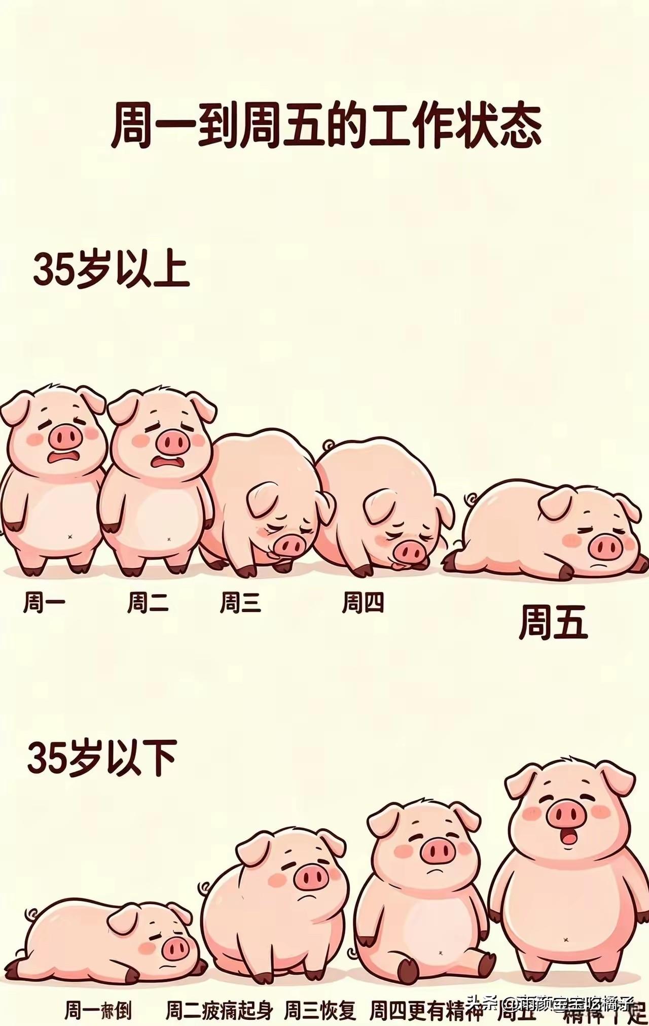 终于知道，为什么有的公司，不招聘35岁以上的员工了！[捂脸][捂脸][捂脸]