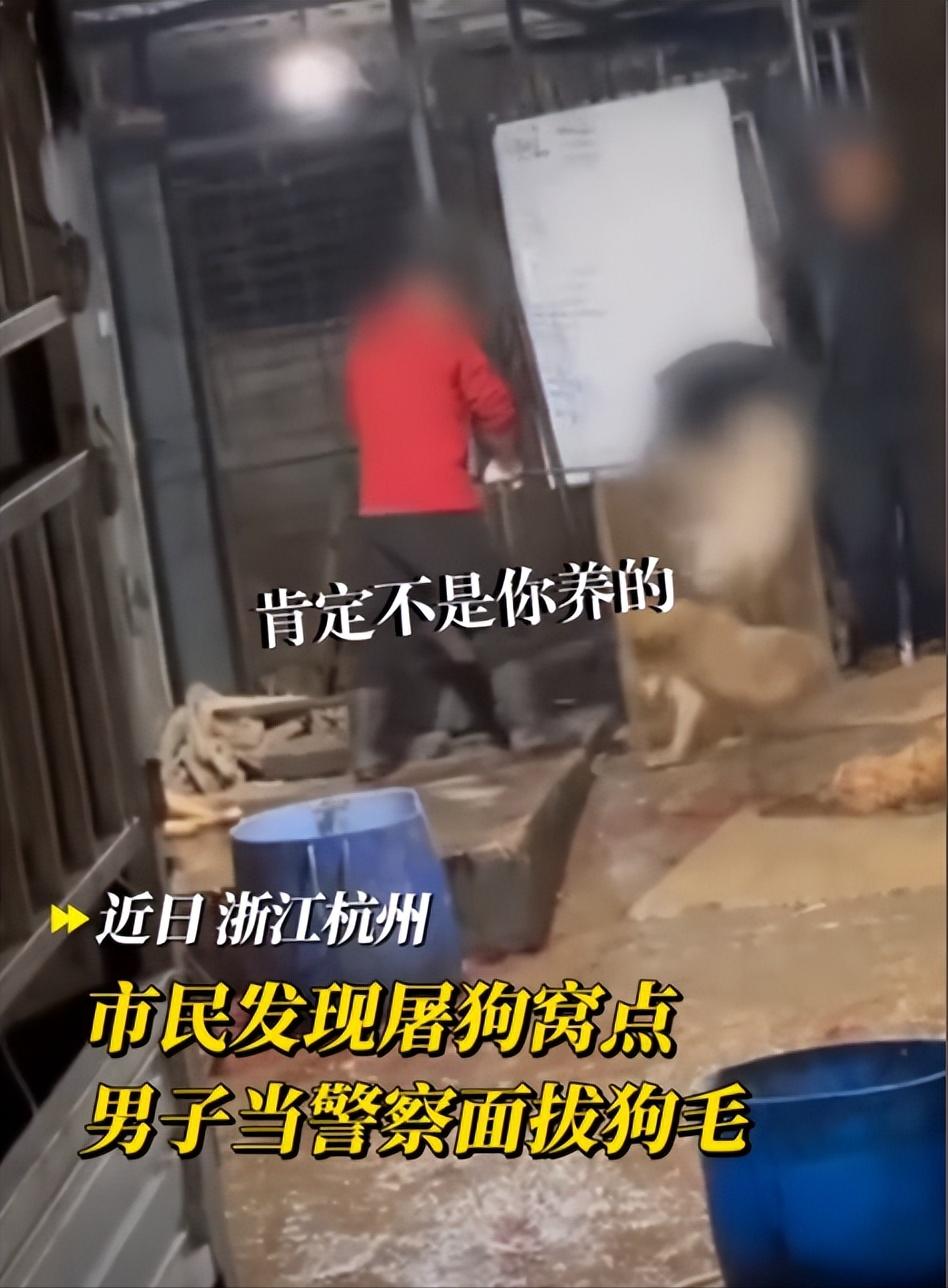 11月23日，浙江，女子在散步时听到小狗惨叫，她顺着声音寻找，发现这家屠狗场藏在