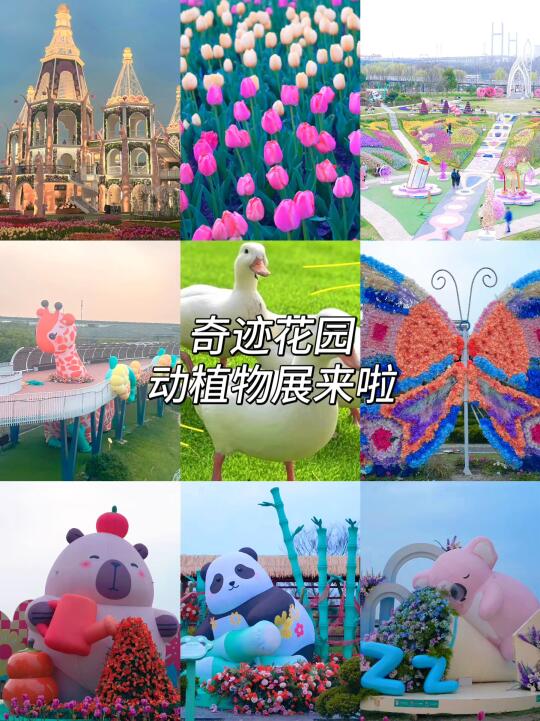 在奇迹花园❗️❗️我找到了春天的N种打开方式