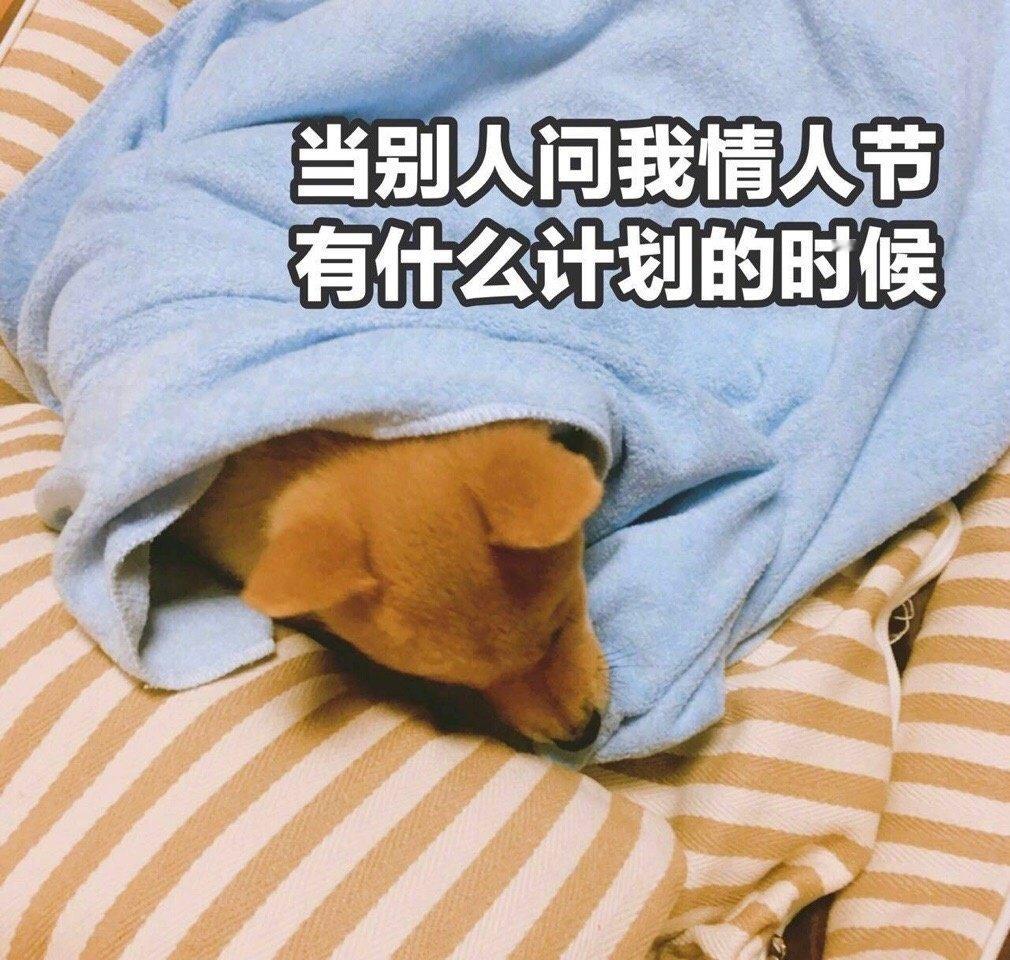 一波单身狗表情包备用