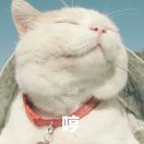 小汤包热读影视剧