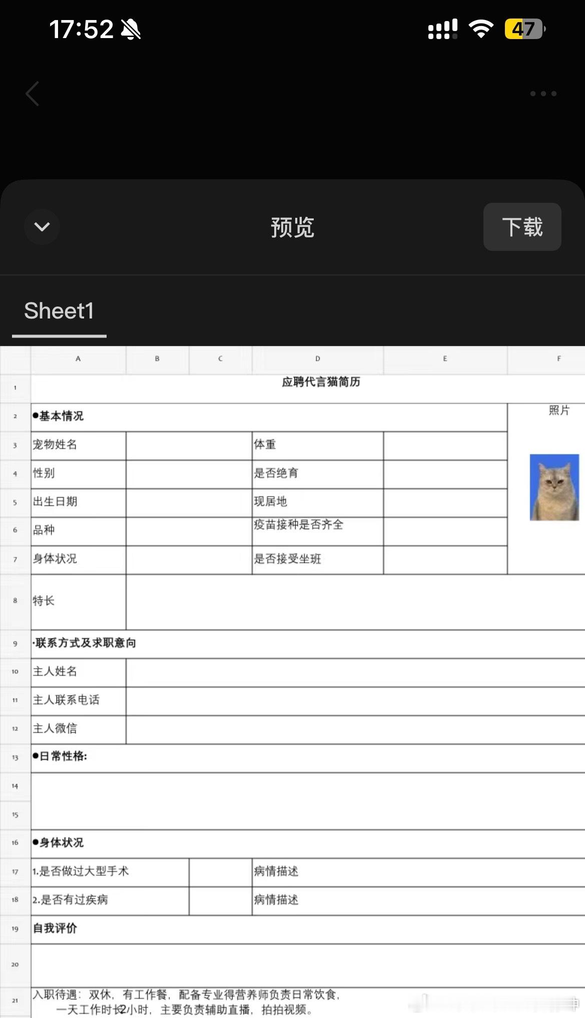 抽空给猫猫写简历啦