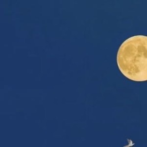 人永远不能停止梦想。梦想是心灵的养料，就像饭菜是身体的给养。人生路上我们常会看见