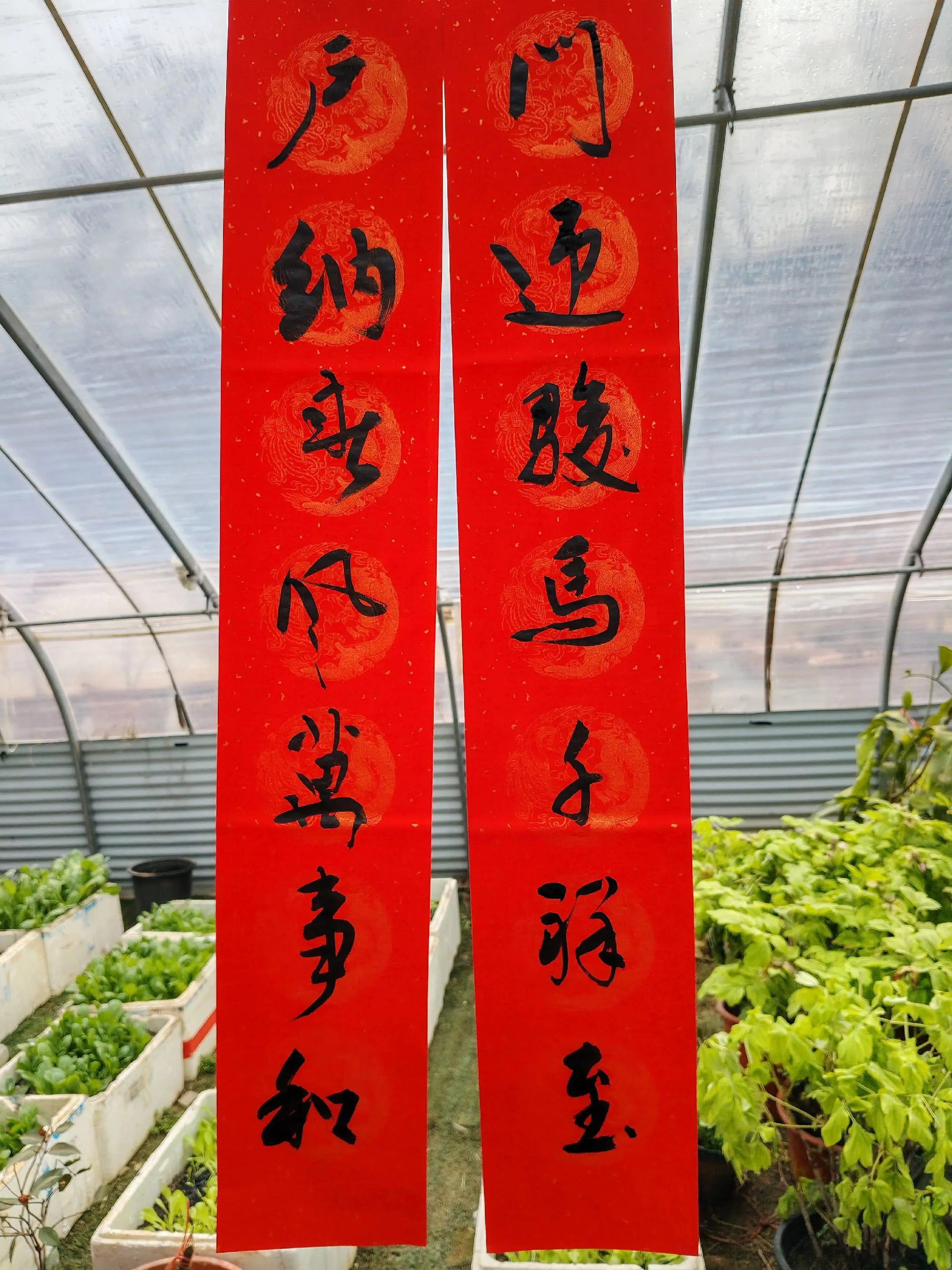 喜写春联迎马年。     地址：孟津区贾滹沱村诚裕千年牡丹园。送文化下...