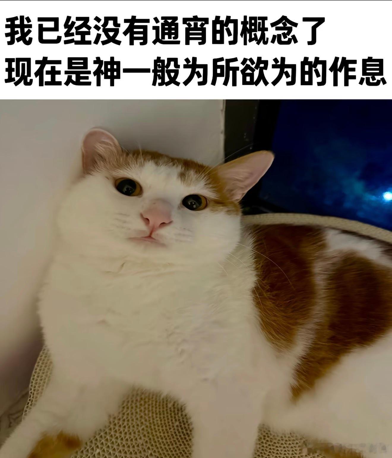 感觉我现在已经不是在熬夜了，而是从一天里面随机挑选几个小时睡觉… ​​​