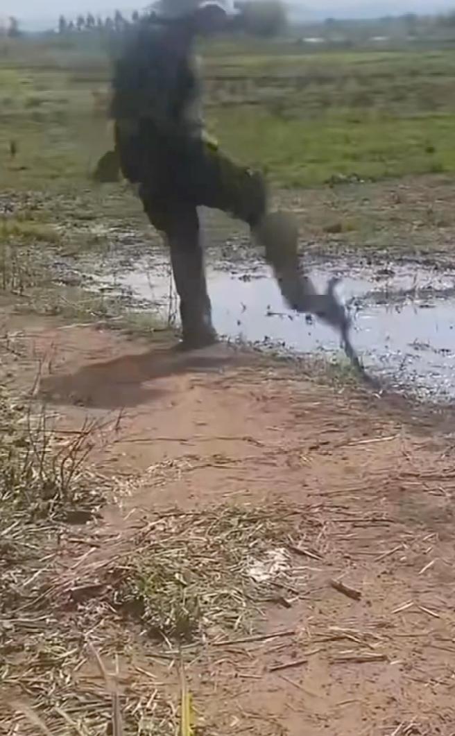 嘿嘿。