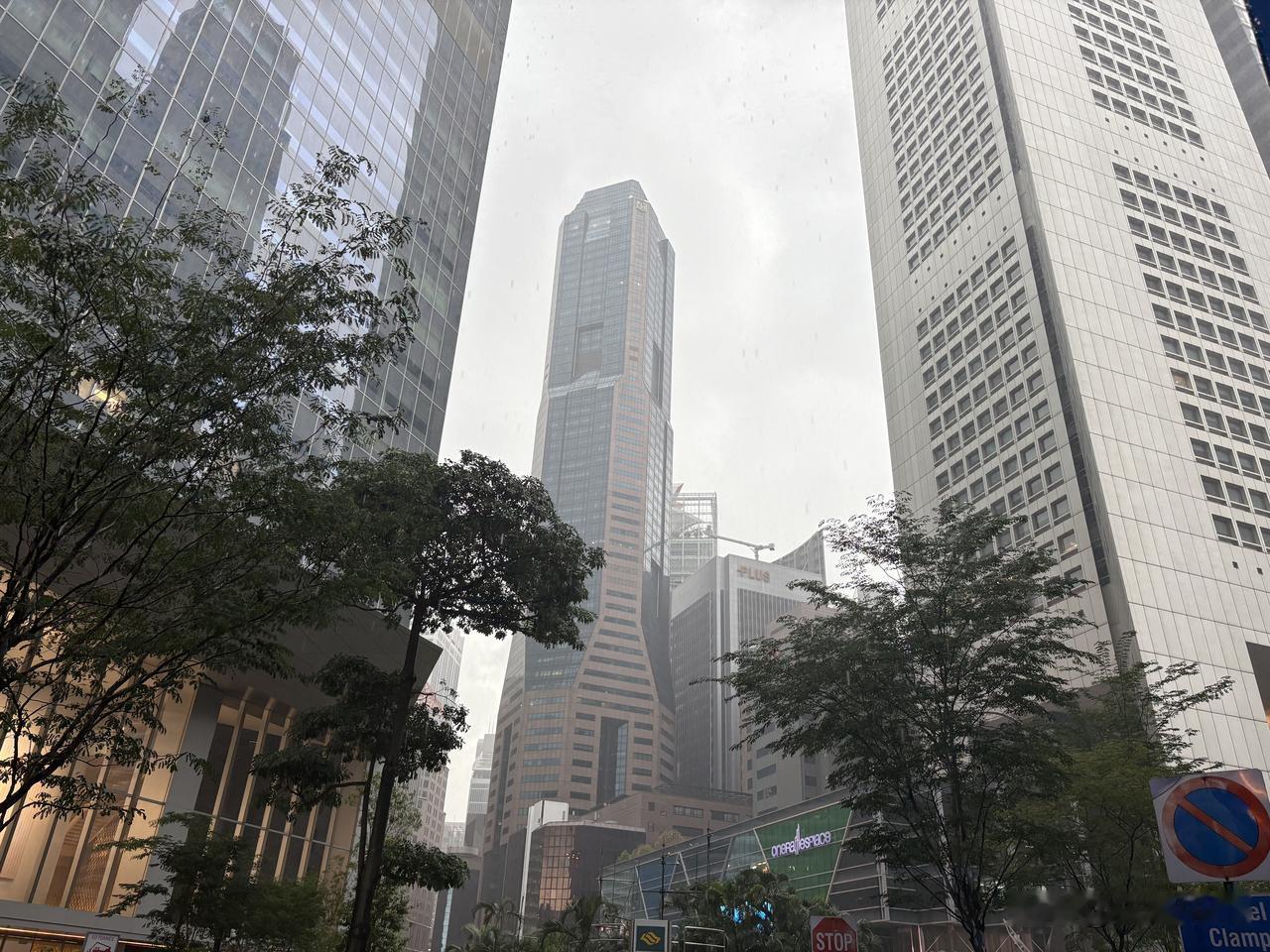 如果纯从城建的角度看，国内很多城市，不输新加坡！