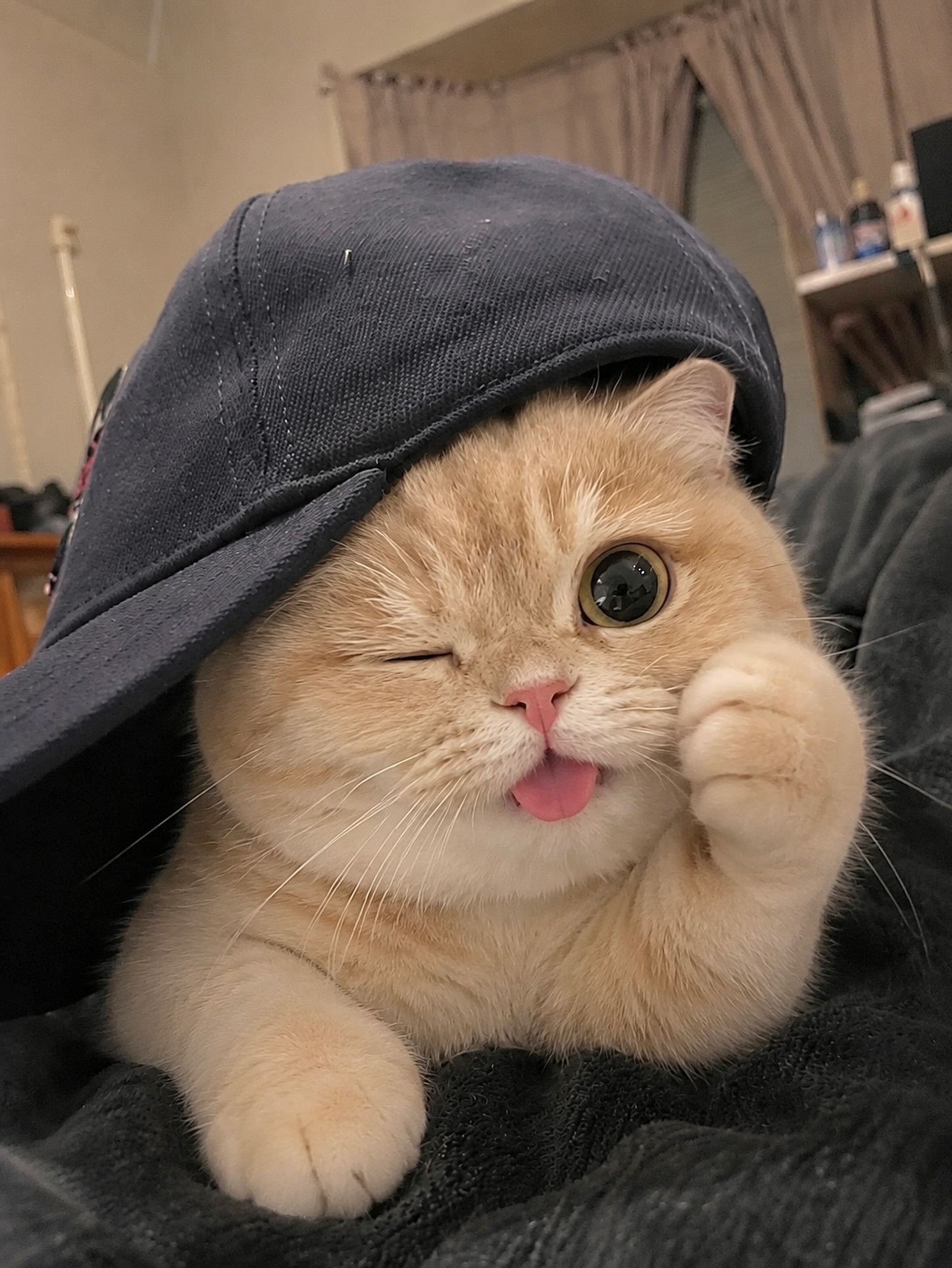 ⠀ 