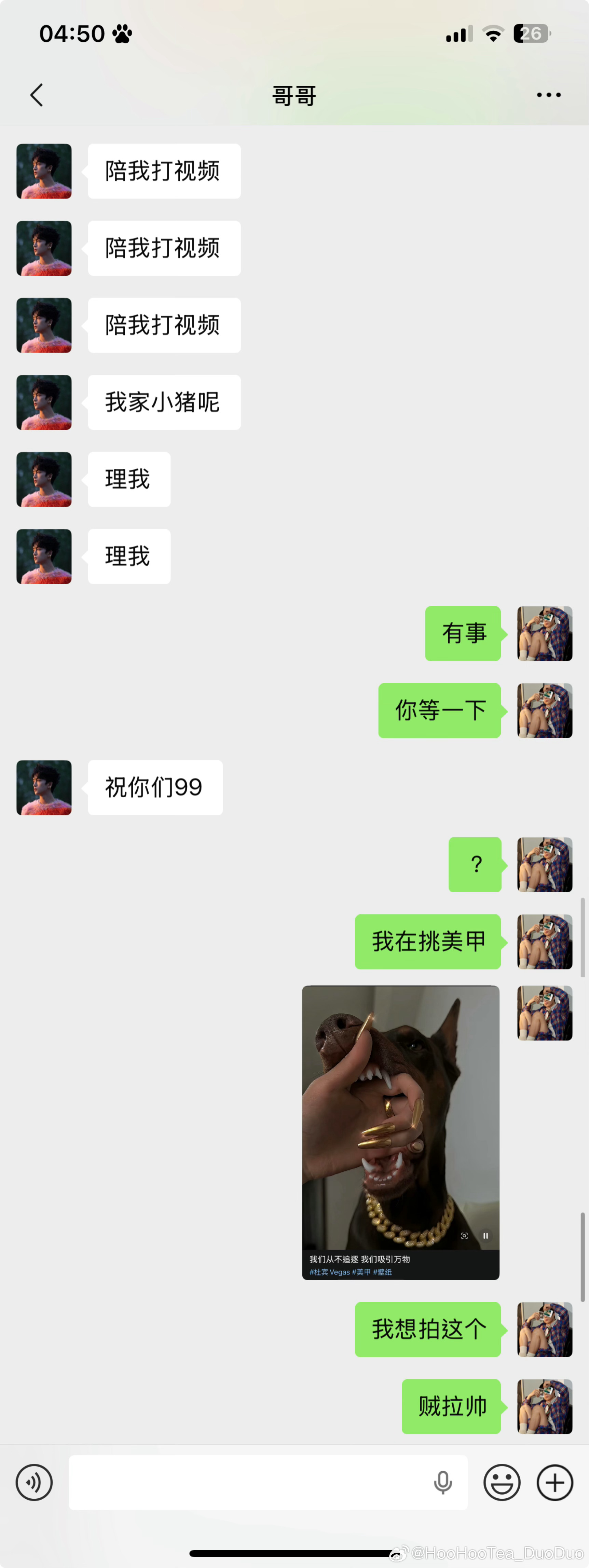 弘叶题石  此狗非彼狗  专栏 · puppy's ring