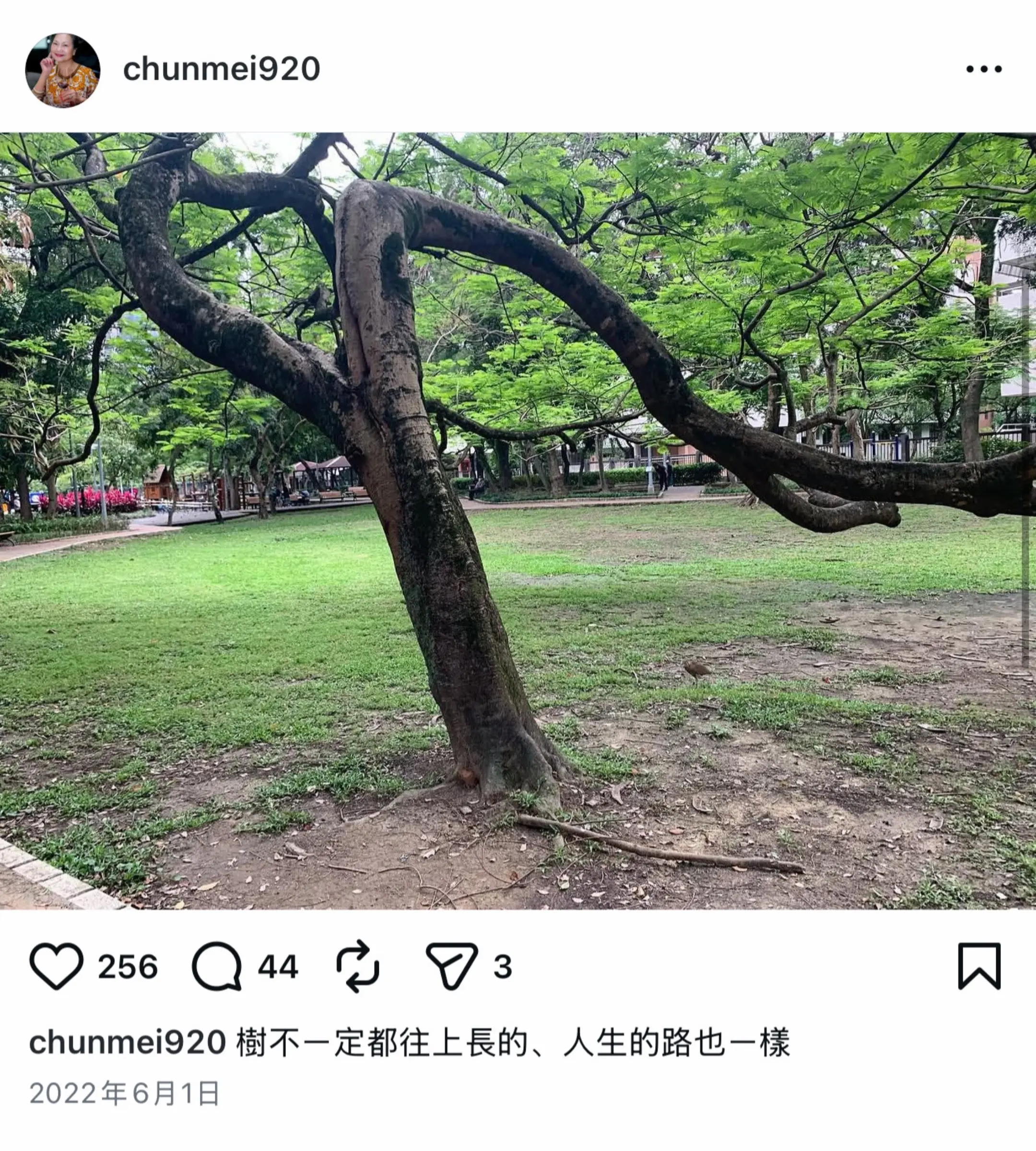 2022年6月S妈发文「树不一定都往上长的，人生的路也一样」彼时大S身处舆论漩涡