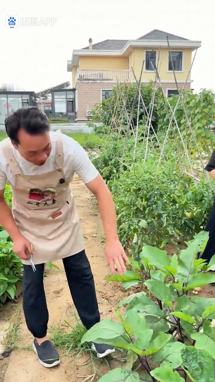 家人们好，今天茄子又丰收了，尤其是家里小孩子们不好吃茄子了，怎么做？做一个炸茄子