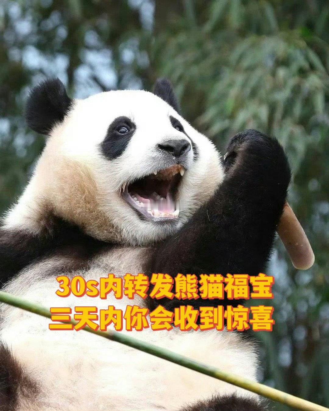 三天内，你会收到意外惊喜！ 