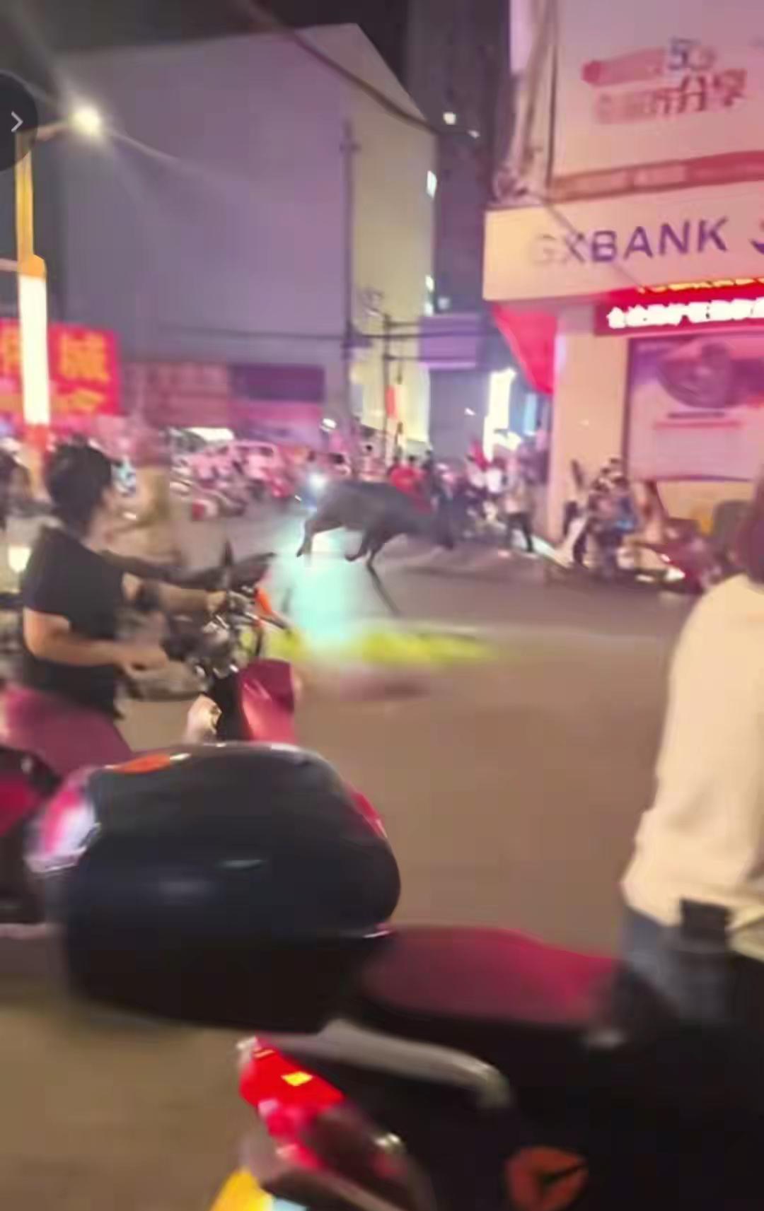 广西梧州，一屠宰场的水牛挣脱束缚，跑到了大街上，先后对5名路人发起攻击！警方接警