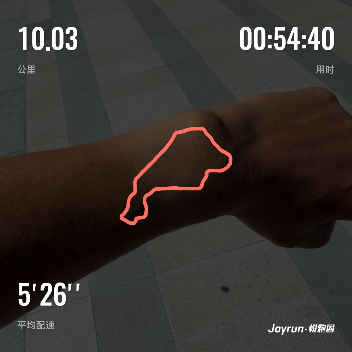 跑不动先生的日常[超话]  今天没带手表但昨天就没跑步今天不能不跑了于是就久违的
