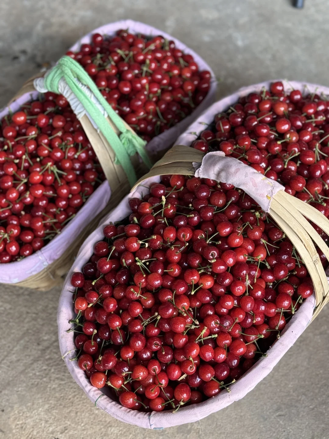 一年只能吃20天，错过了就等明年了！