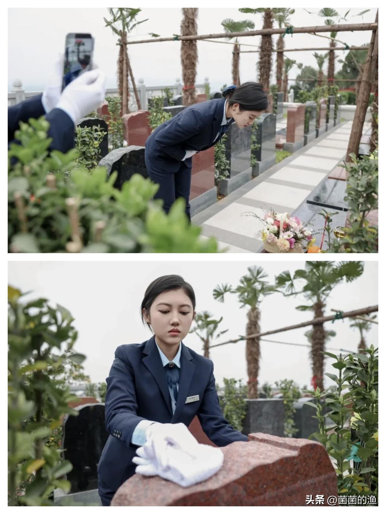 00后海归当“扫墓人”，月薪4000，这算“人才浪费”还是“人间清醒”？
洛阳凤