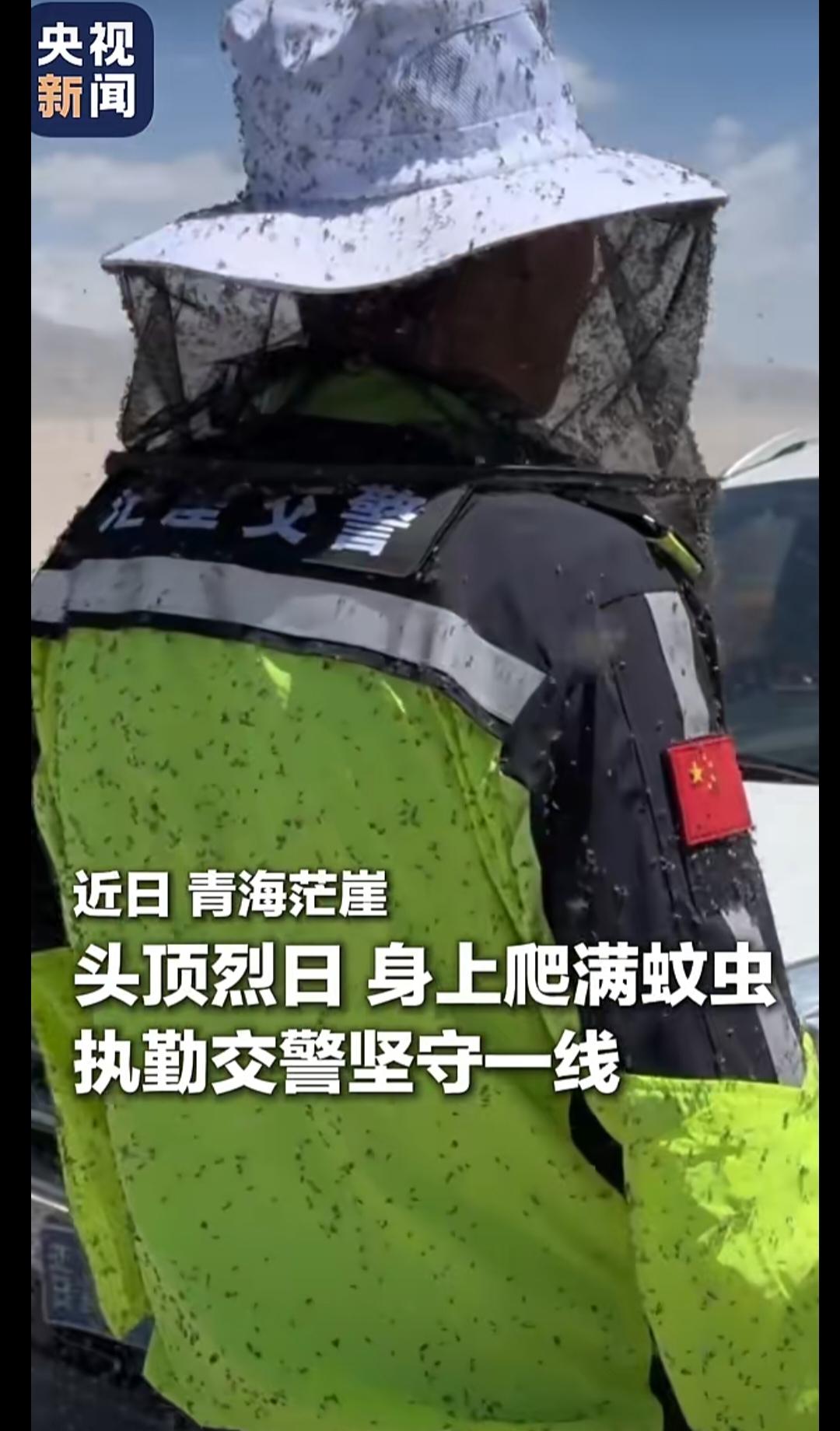 青海地处高原湿地，进入夏季，地表50℃，蚊虫成灾！

可是这些执勤的警察们，依然